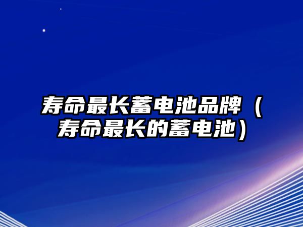 壽命最長蓄電池品牌（壽命最長的蓄電池）