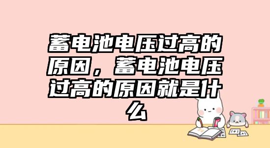 蓄電池電壓過高的原因，蓄電池電壓過高的原因就是什么