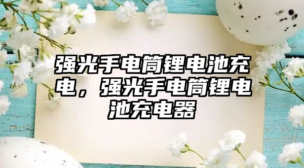 強光手電筒鋰電池充電，強光手電筒鋰電池充電器