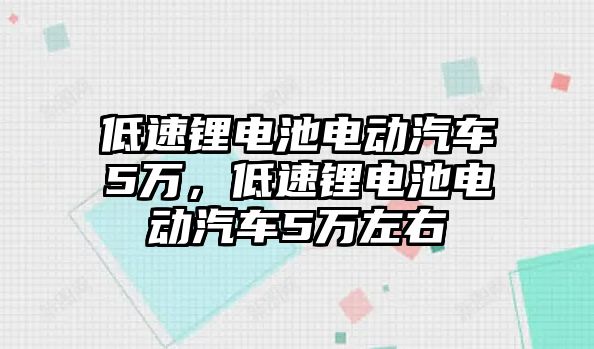 低速鋰電池電動汽車5萬，低速鋰電池電動汽車5萬左右