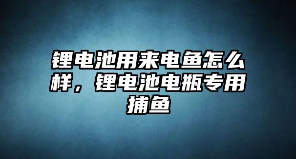 鋰電池用來電魚怎么樣，鋰電池電瓶專用捕魚