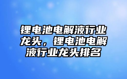 鋰電池電解液行業(yè)龍頭，鋰電池電解液行業(yè)龍頭排名