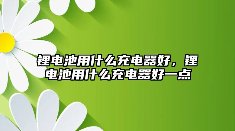 鋰電池用什么充電器好，鋰電池用什么充電器好一點