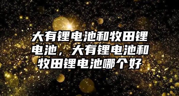 大有鋰電池和牧田鋰電池，大有鋰電池和牧田鋰電池哪個(gè)好