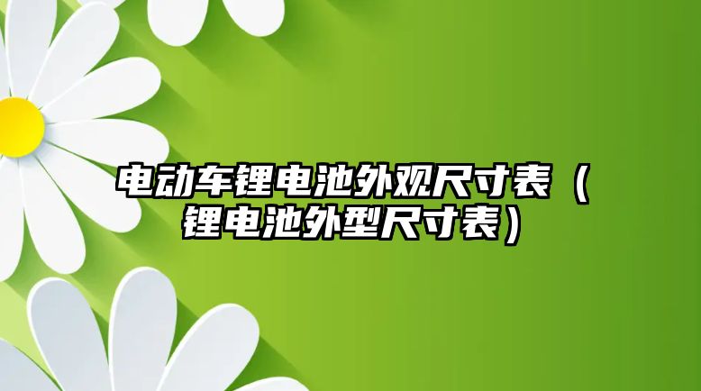 電動車鋰電池外觀尺寸表（鋰電池外型尺寸表）