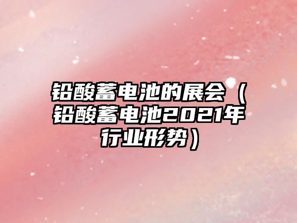 鉛酸蓄電池的展會（鉛酸蓄電池2021年行業形勢）