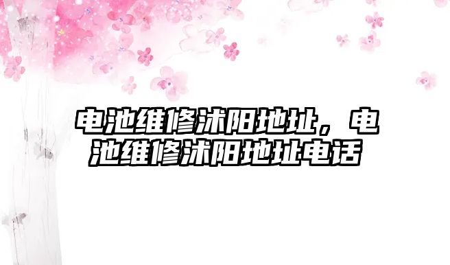 電池維修沭陽地址，電池維修沭陽地址電話