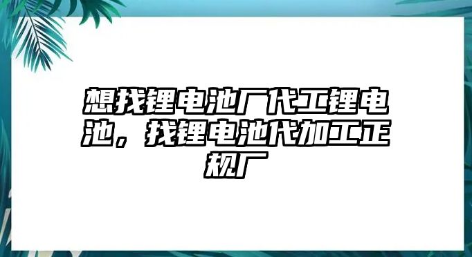 想找鋰電池廠代工鋰電池，找鋰電池代加工正規廠