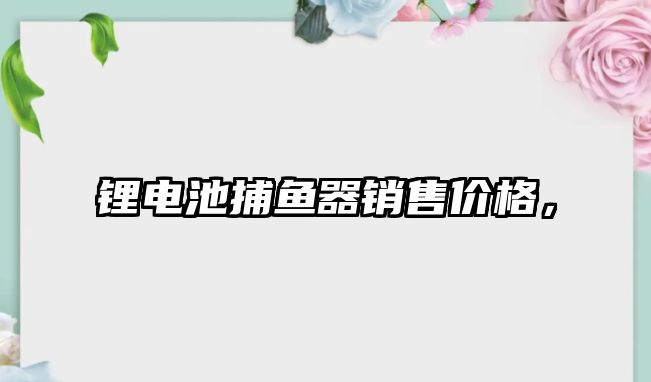 鋰電池捕魚(yú)器銷(xiāo)售價(jià)格，