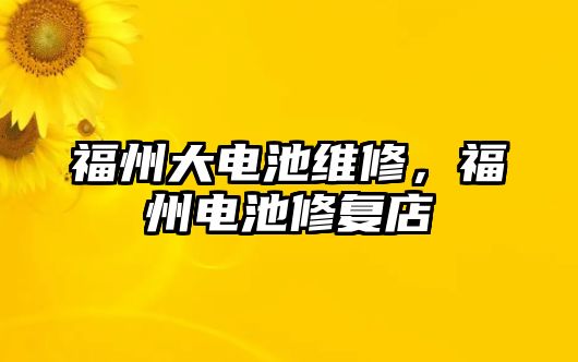 福州大電池維修，福州電池修復店