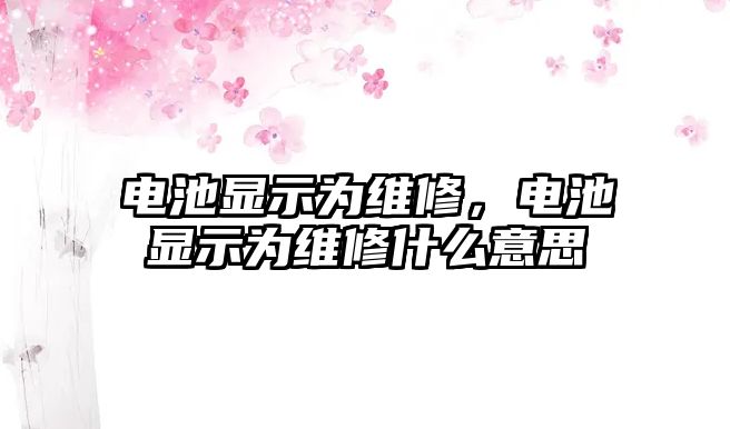 電池顯示為維修，電池顯示為維修什么意思