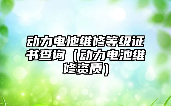 動力電池維修等級證書查詢（動力電池維修資質）