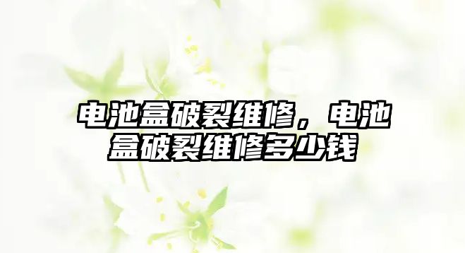 電池盒破裂維修，電池盒破裂維修多少錢