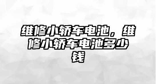 維修小轎車電池，維修小轎車電池多少錢