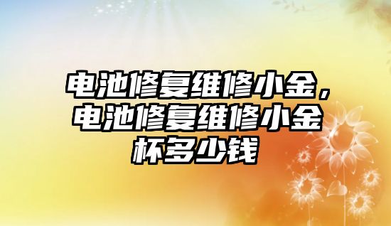 電池修復維修小金，電池修復維修小金杯多少錢