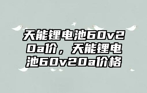 天能鋰電池60v20a價，天能鋰電池60v20a價格