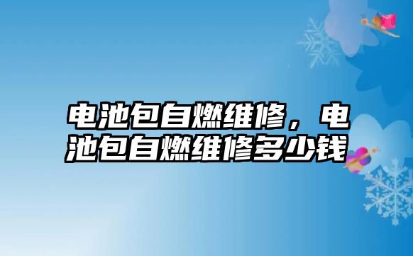 電池包自燃維修，電池包自燃維修多少錢