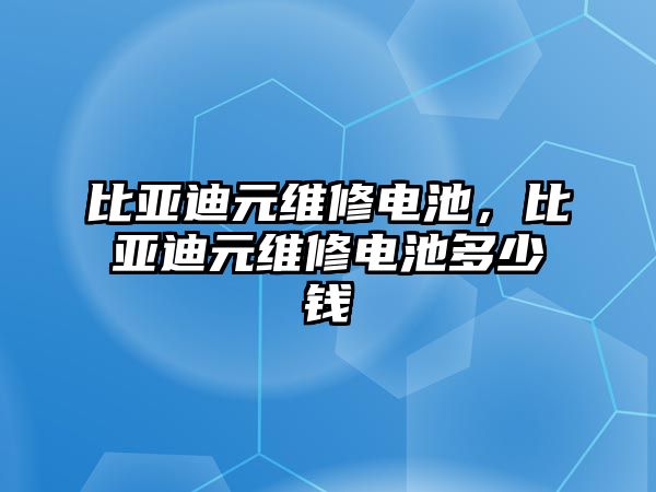 比亞迪元維修電池，比亞迪元維修電池多少錢