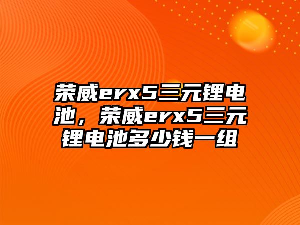 榮威erx5三元鋰電池，榮威erx5三元鋰電池多少錢一組