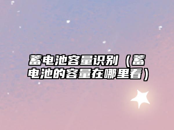 蓄電池容量識別（蓄電池的容量在哪里看）