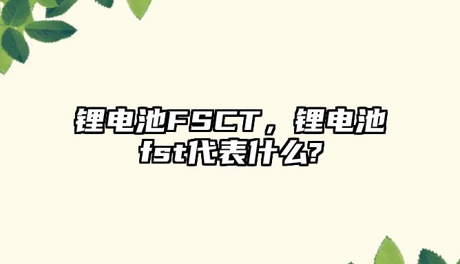 鋰電池FSCT，鋰電池fst代表什么?