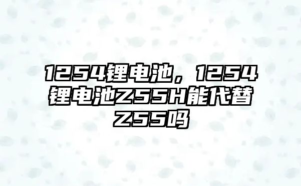 1254鋰電池，1254鋰電池Z55H能代替Z55嗎