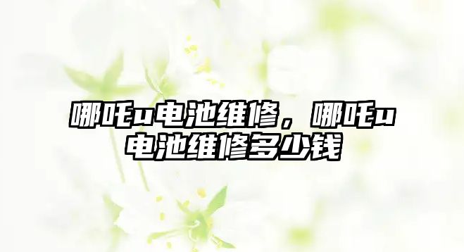 哪吒u電池維修，哪吒u電池維修多少錢