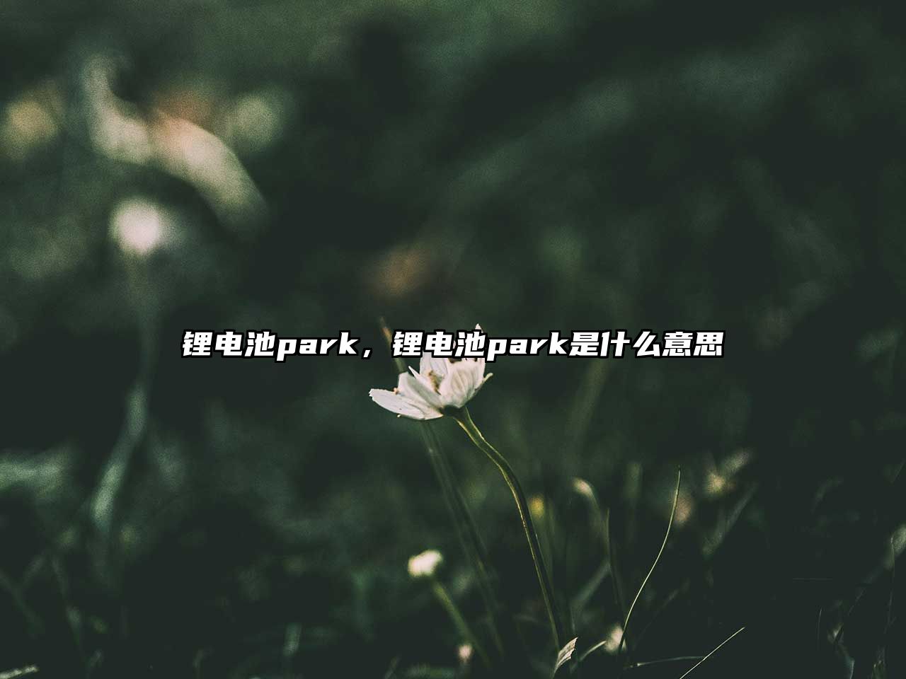 鋰電池park，鋰電池park是什么意思