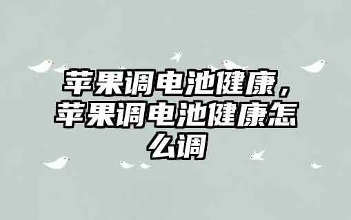 蘋果調(diào)電池健康，蘋果調(diào)電池健康怎么調(diào)