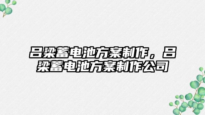 呂梁蓄電池方案制作，呂梁蓄電池方案制作公司