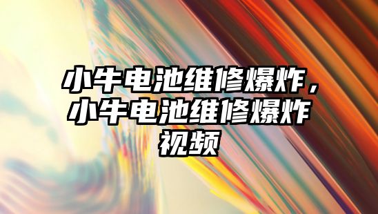 小牛電池維修爆炸，小牛電池維修爆炸視頻