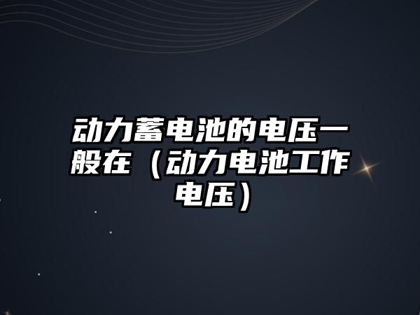 動力蓄電池的電壓一般在（動力電池工作電壓）