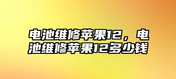 電池維修蘋果12，電池維修蘋果12多少錢