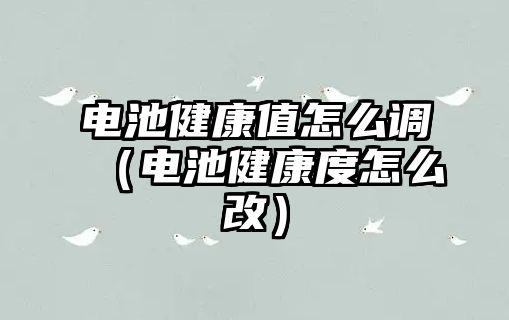 電池健康值怎么調（電池健康度怎么改）