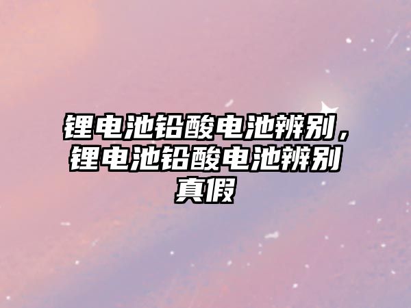 鋰電池鉛酸電池辨別，鋰電池鉛酸電池辨別真假