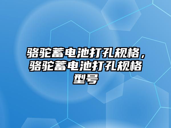 駱駝蓄電池打孔規格，駱駝蓄電池打孔規格型號