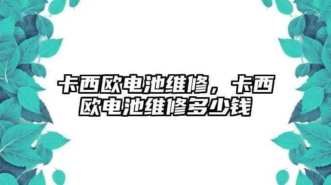 卡西歐電池維修，卡西歐電池維修多少錢