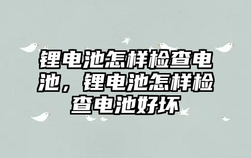 鋰電池怎樣檢查電池，鋰電池怎樣檢查電池好壞